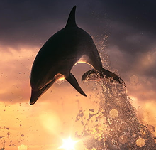 Документальные